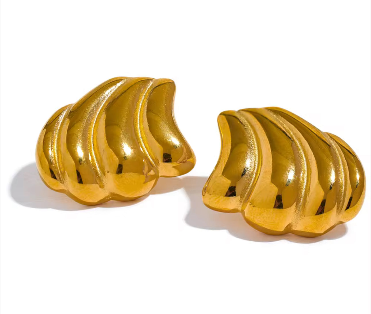Beauty earrings